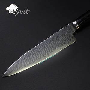 8 Inch Damascus Steel Chef's Kitchen Knife